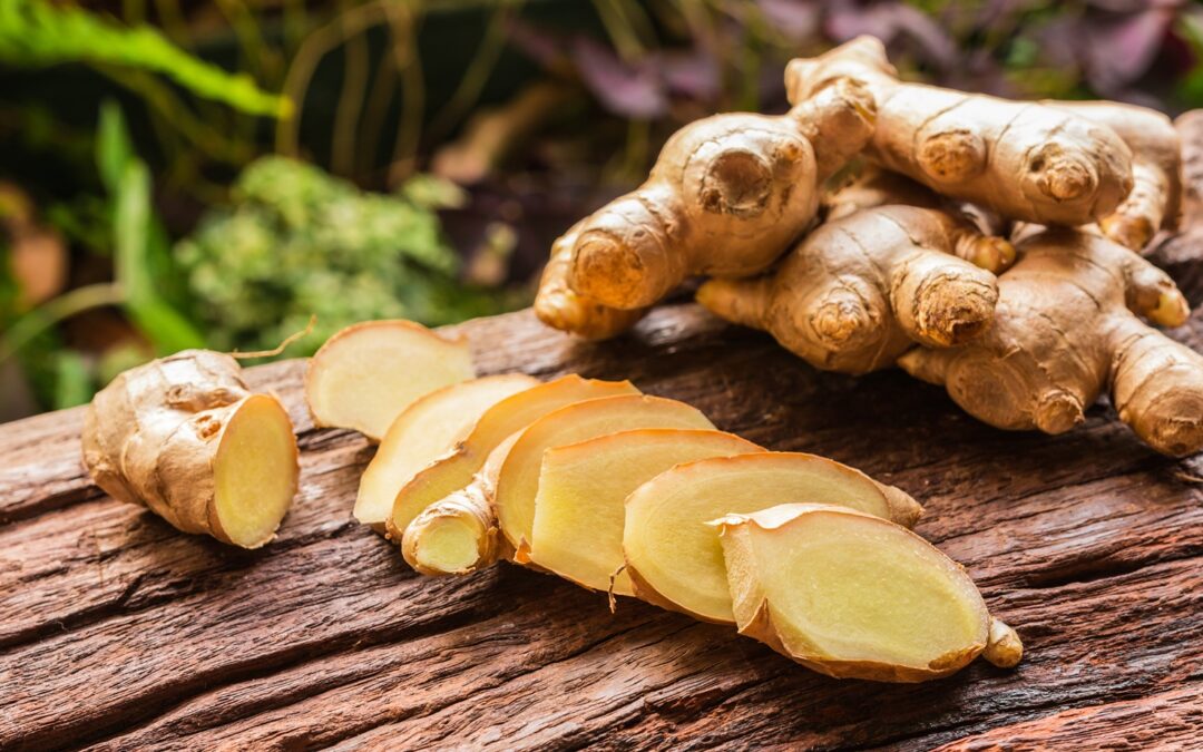 Harvesting Wild Edible Plants and Medicinal Herbs – The Right Way