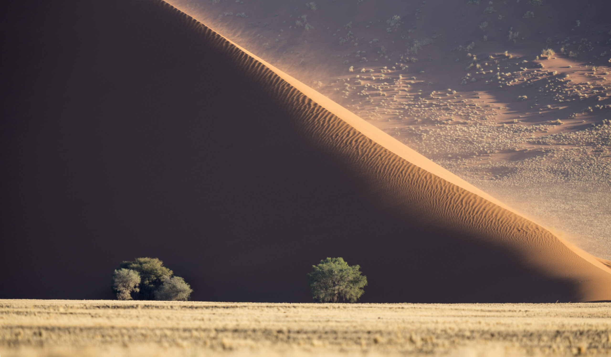 Survival 101: Crafting a Foolproof Disaster Preparedness Plan 1 db 316 namibia 063 3633 scaled