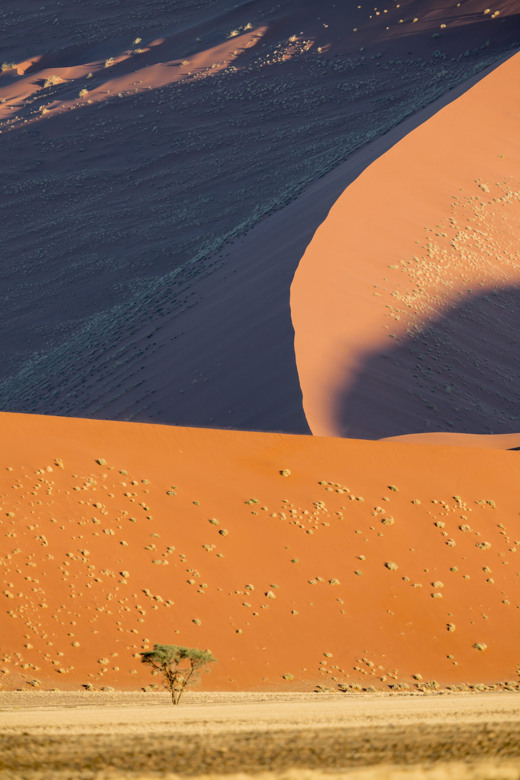 db 316 namibia 077 3647 scaled